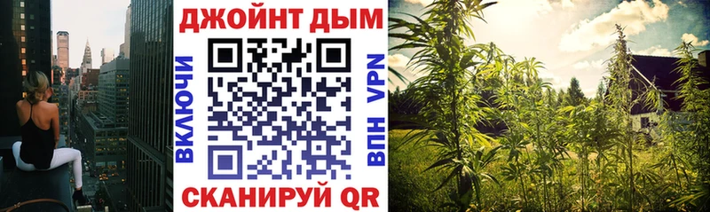 где продают   Дмитровск  Бошки марихуана VHQ 
